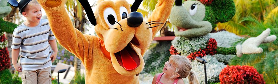 cat florida wdw cat florida wdw