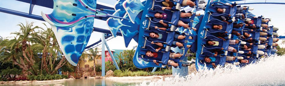 cat florida SeaWorld Parks cat florida SeaWorld Parks